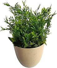 نبات زرع صناعي