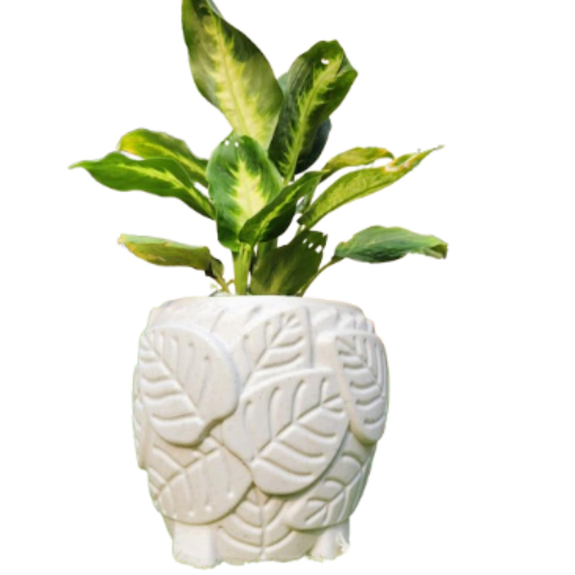 Botanic Bliss Leaf Patterned/Designer Plastic Plant Pot | White | 8 inches Big | gamla | homedocor Garden Office Balcony | Indoor/Outdoor use | Flower Plant Vegetable Succulent herb Pot (B0DBV88MDT) Amazon Price History, Amazon Price Tracker