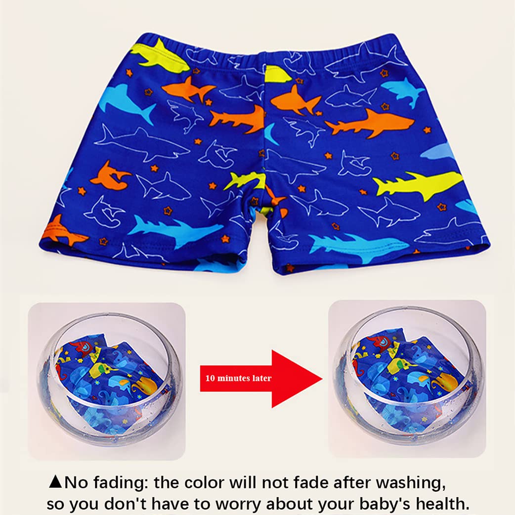Lot de 2 maillots de bain pour garçons de 1 à 11 ans - Short de bain dinosaure requin