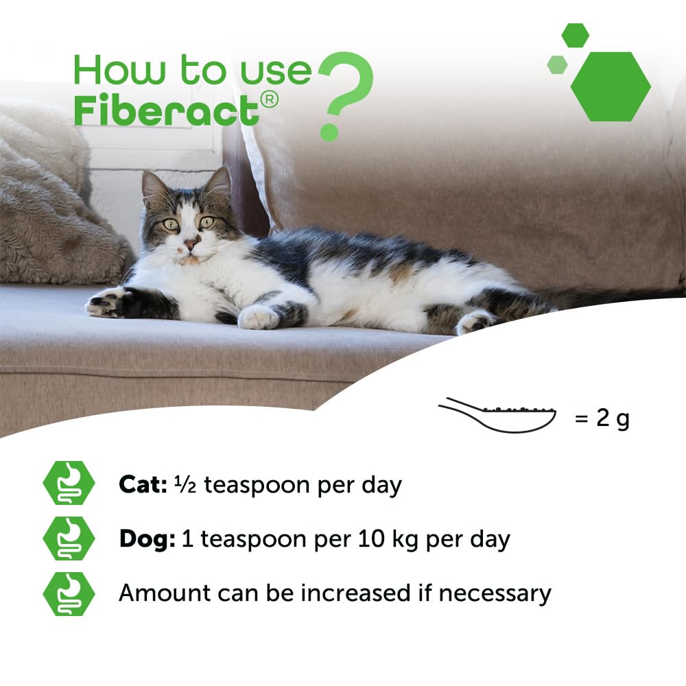 MP Labo Fiberact 100 g