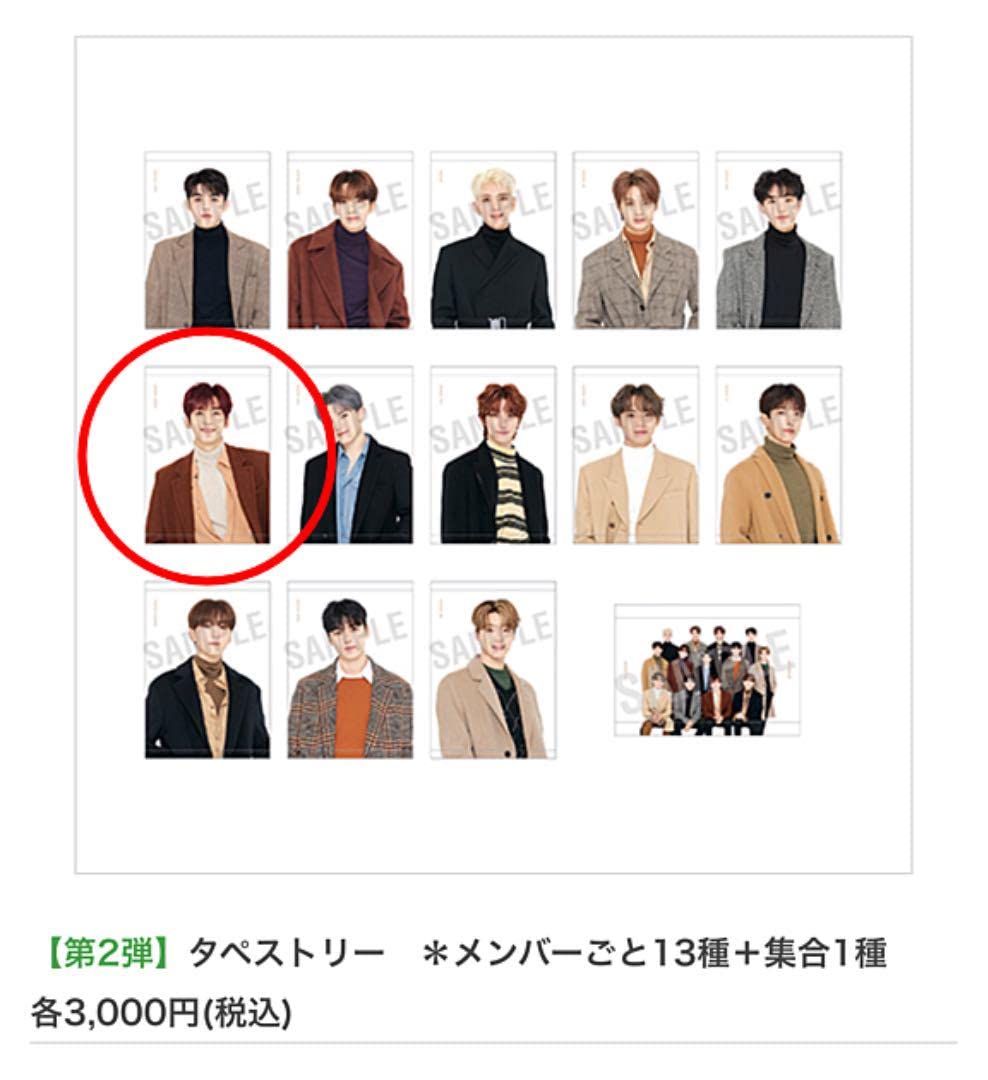 【開封済未使用】 SEVENTEEN ウォヌ WINTER タペストリー Amazon.co.jp: SEVENTEEN ウォヌ WINTER グッズ タペストリー : おもちゃ