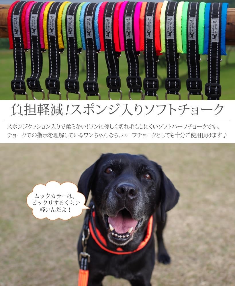 Amazon | ザ・ブラックラブカンパニー ムックカラー 【R】 犬用首輪/MS