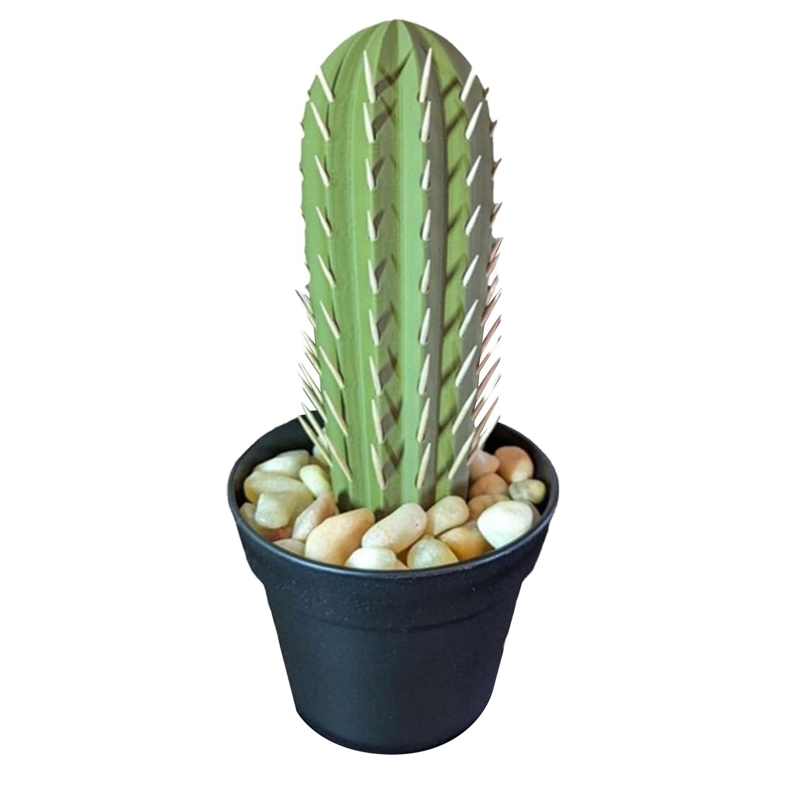 gymnocalycium friedrichii variegated Rare Cactus main image 1