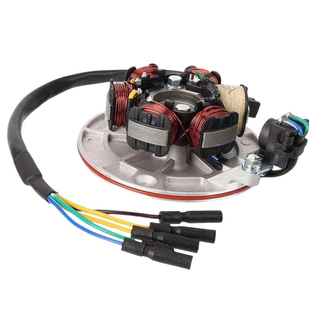 Piastra Statore Magnetica Per Motore 140cc Avviamento A Pedale Compatibile Con Pit Bike Fuoristrada