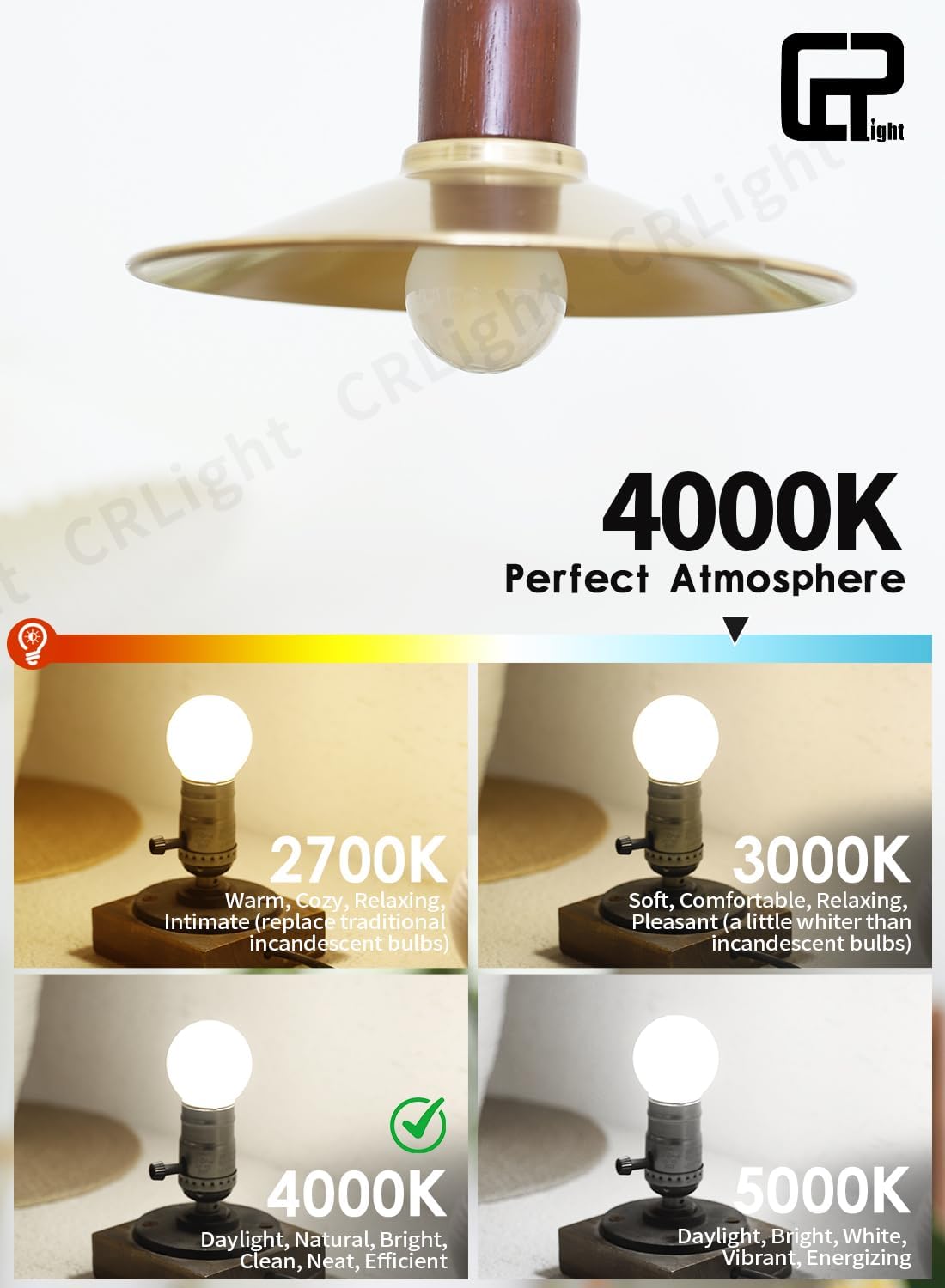 CRLight 6W Edison LED Globe Bulb 4000K Neutral White, 65W Equivalent 650 LM Dimmable, E26 Vintage Style G16.5/G50 Small Round Frosted Glass Ceiling Fan Bathroom Vanity LED Filament Light Bulbs, 8 Pack