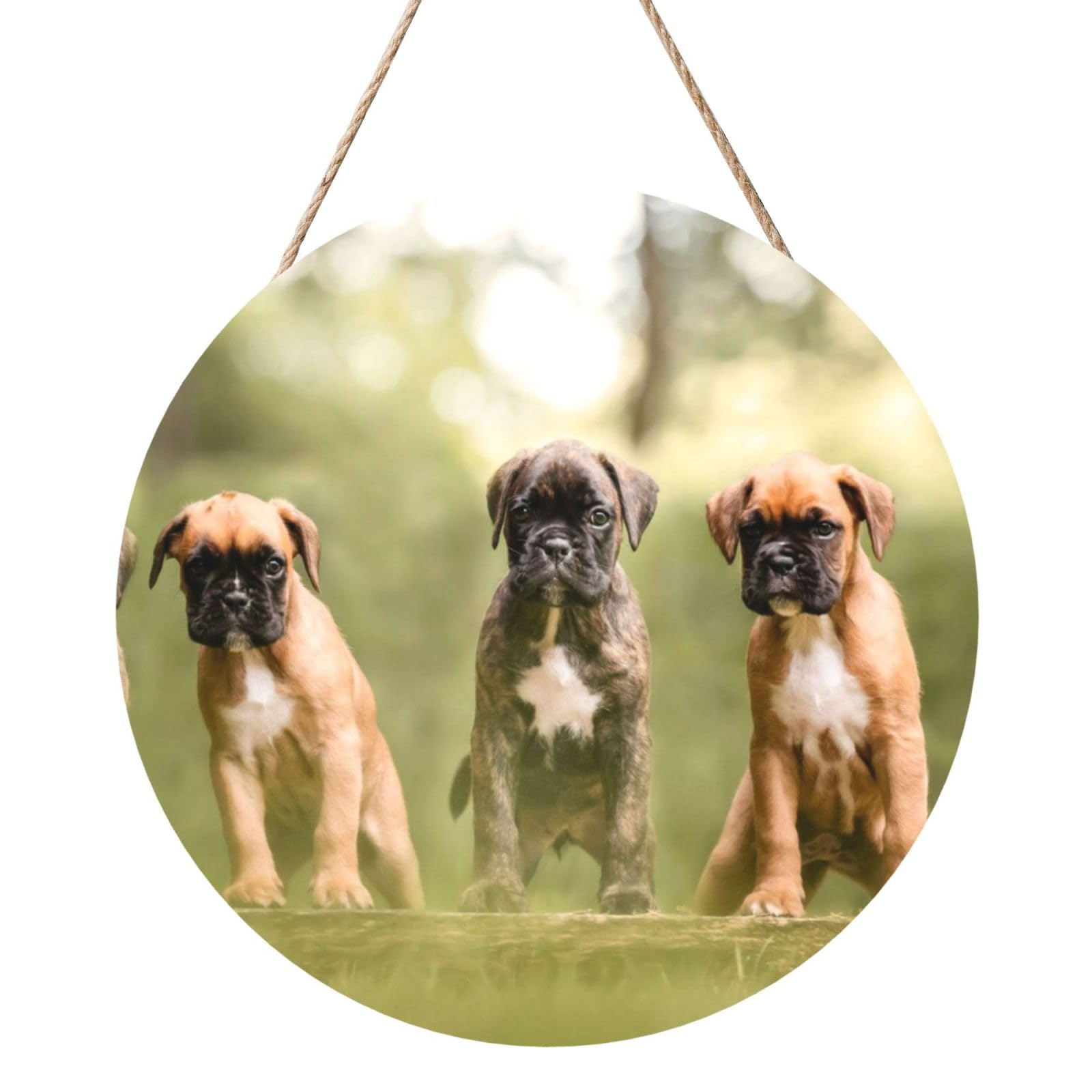 InOmak Boxer Dogs Puppies Pets Family Dogs, Round Wood Panel Painting 12 in, Wall Hanging Painting For Home