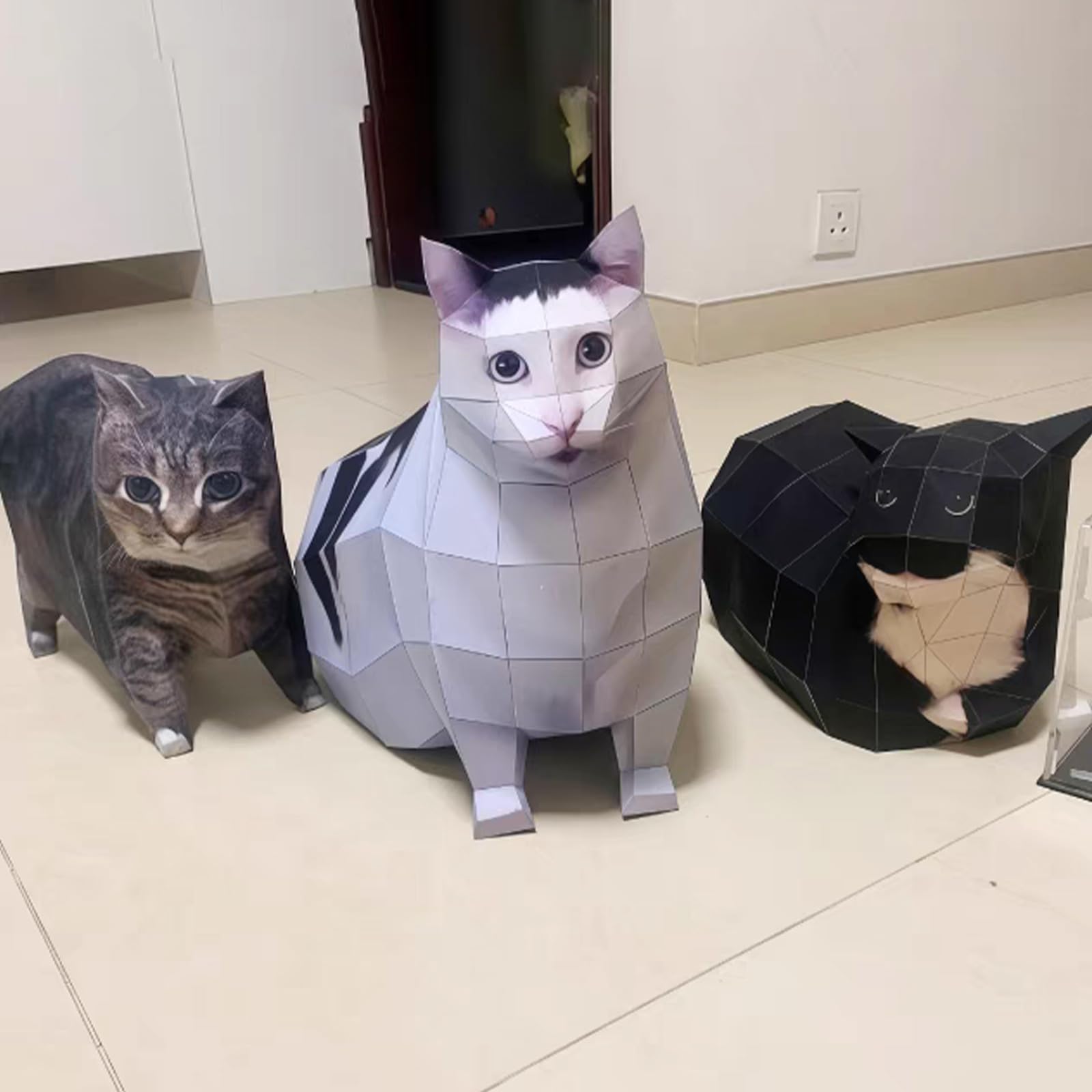 Cat Paper Memes