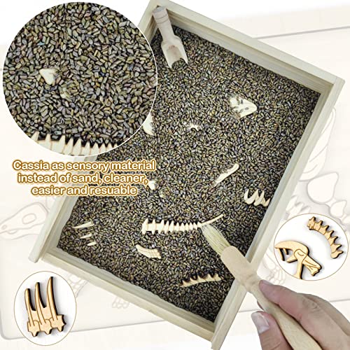 Dinosaur Excavation Archaeology Dig Kit for Kids, Fossil Explore Sensory Bin Toys, Dino Skeletons Bones Puzzle Game, Archaeology Science STEM Toys for Boys and Girls (Stegosaurus) - Thumbnail 6