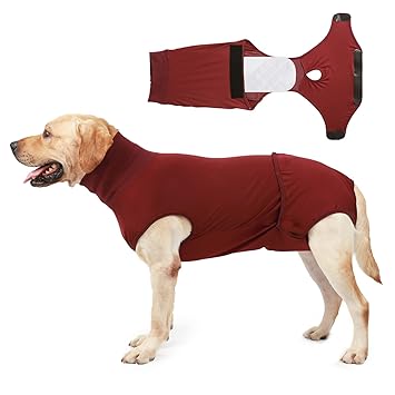 Dog Recovery Suit with 2 PCS Nappies Diaper Surgery Recovery Shirt for Female Male Dog POPQ
