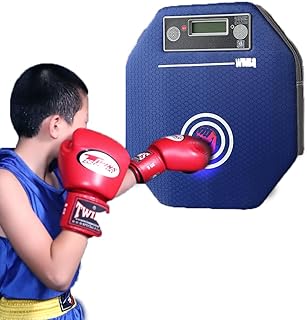SONLED Wall Mounted Boxing Machine, Music Boxing Training Punching Target Striking Target Boxing Mat with Punch Force Tester, Punching Bag Boxing Pads Equipment for Adult Youth Kids