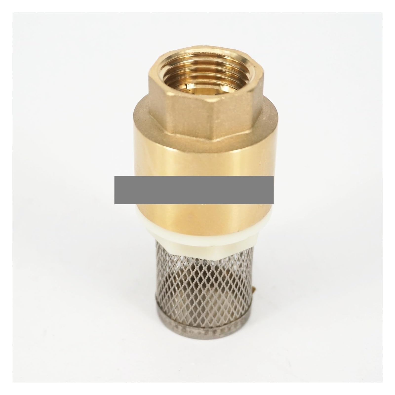 1" BSP Female Brass Spring Check Valve with Strainer Filter 1.6Mpa YZWRWRMKTB