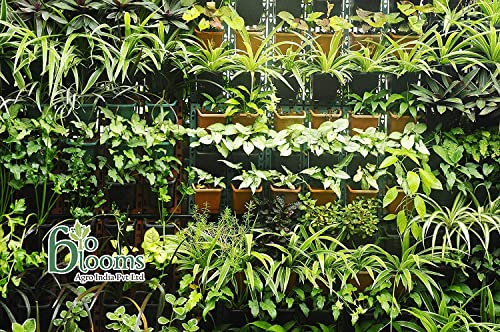 Image of Bio Blooms Agro India Pvt.Ltd.M2 Model Vertical Wall Hanging Garden Pots| 4 Panel&12 Pots | Terracota Color | Outdoor Use & Indoor Use