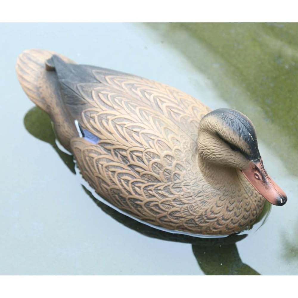 Amazon.co.jp: FAKEME 3D鴨 デコイ 動物モデル 狩猟餌 現実的