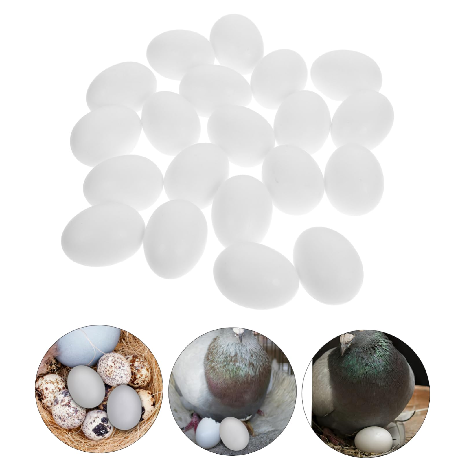 Lot 22 Faux Œufs De Pigeon Blancs En Plastique – Œufs Artificiels Pour Oiseaux