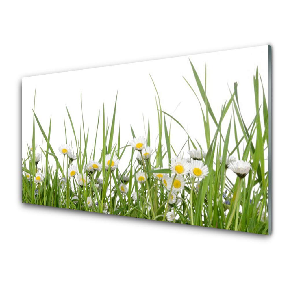 Tableau en verre trempé mural 100x50 cm marguerites Tulup