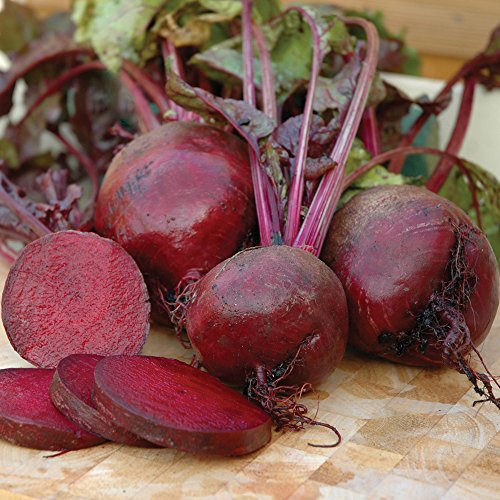 Beetroot Vegetable Seeds Grow Your Own Beet Crops for Garden Allotment & Greenhouse Beetroot Boltardy Approx 300 Seeds 1x Finished Packet