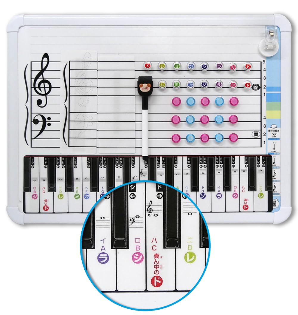 Amazon.co.jp: 鍵盤付き五線譜 ホワイトボード/音符マグネット 音階 五