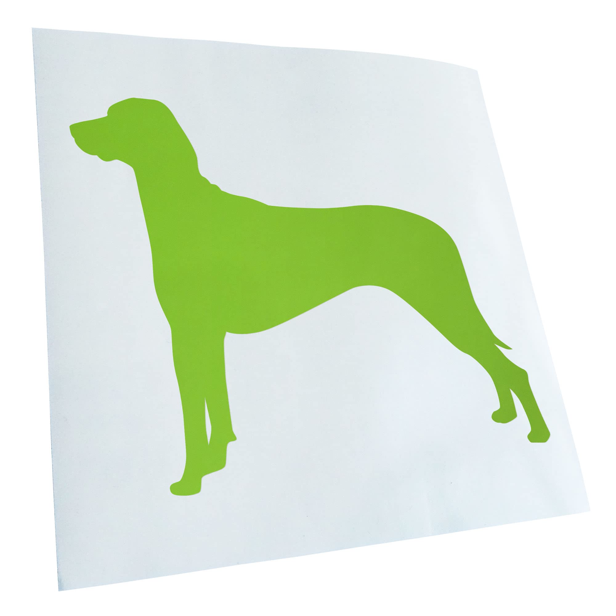 Kiwistar - Car Sticker - Green - 24 x 20 cm Ridgeback Rhodesian Dog - Rear Window Car Sticker Weatherproof for Car Truck Moped Truck - Sticker Exterior Self-Adhesive Tuning Accessories for Window