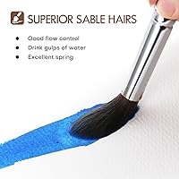 Vista 2 de Sable Watercolor Brushes Professional, Fuumuui 7Pcs Sable Brush Set Variety Shapes with Flat, Round Pointed, Cat's Tongue Oval Wash Fan Brush