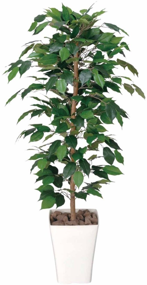 Amazon｜光触媒 人工観葉植物 光の楽園 フィカスベンジャミン 1.2m