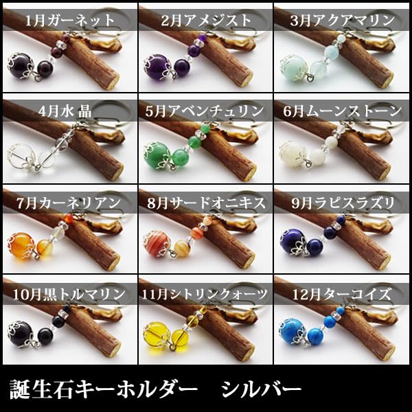 Amazon.co.jp: 【石流通センター】【キーホルダー】誕生石 (シルバー