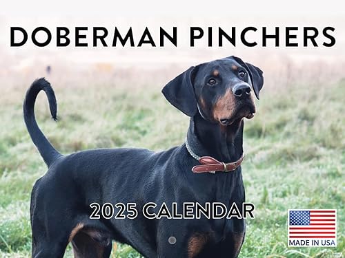 Vista 171 de Calendario Goldendoodle 2026 Golden Doodle mensual de pared calendario de 12 meses Fabricado en Estados Unidos