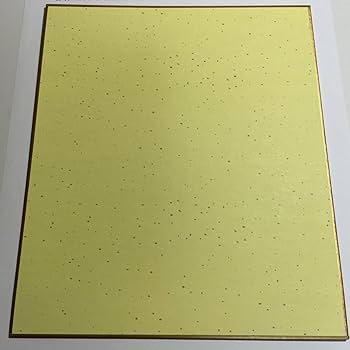 戸松遥 直筆サイン色紙 Amazon.co.jp: 当選品 ホリミヤ 戸松遥 直筆サイン色紙 堀京子