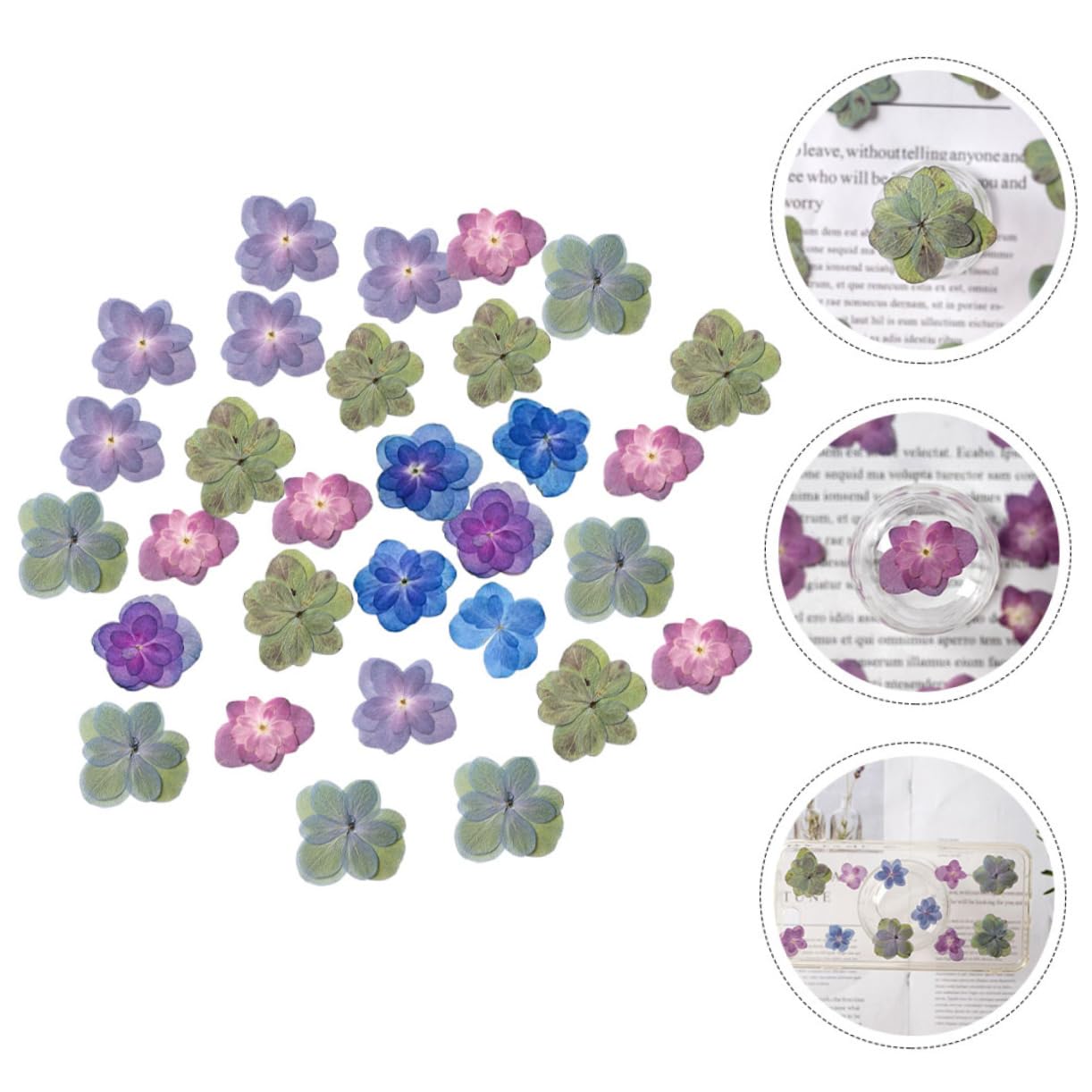 DECHOUS 5 Sets Handgefertigtes Bastelset Mit Getrockneten Blumen Mini-gepresste Blumen Für Harzprägung Dekorelemente 30 Stück * 5
