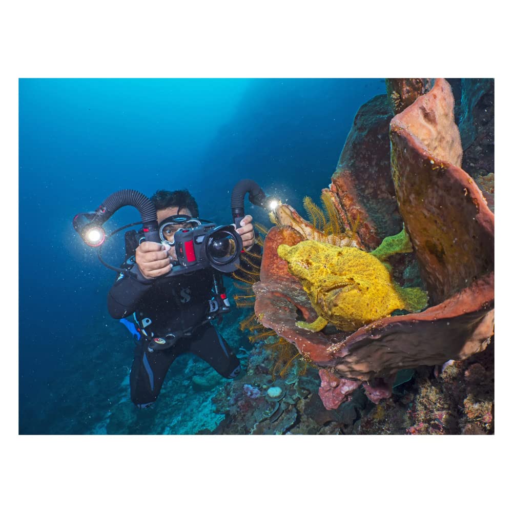 SeaLife Sea Dragon 5000+ with Color Boost Light Head (SL680-1)