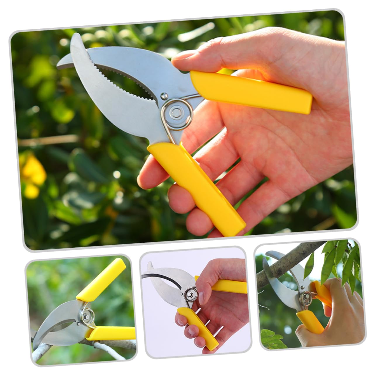 TOYANDONA 3 Ensembles Outil De Jardinage Outil De Écorce Pour Arbres Fruitiers Inoxydable Sécateur Pratique Pour Élagage Entretien De Plantes Extérieures 2 Pièces * 3
