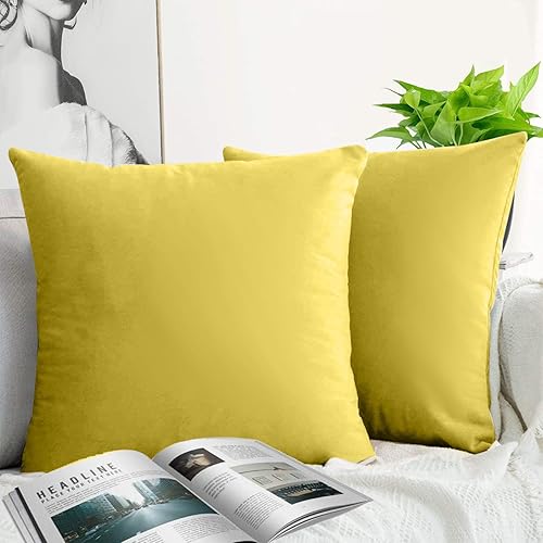 JUEYINGBAILI Fundas de almohada decorativas de terciopelo, paquete de 2 fundas de almohada ultrasuaves de 18 x 18 pulgadas para sofá, silla,