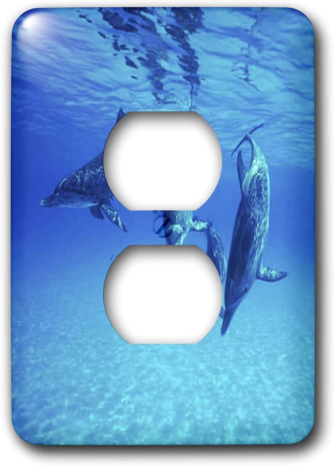 3dRose LLC lsp_39010_6 Dolphins Underwater, 2 Plug Outlet Cover