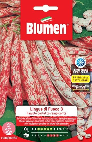 Fagiolo Borlotto Rampicante Lingua Di Fuoco
