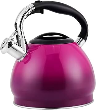 Whistling Tea Kettle 304 Stainless Steel Stovetop Tea Pot Water Kettle Boiler Teapot Tea Kettle for Indoor Outdoor,3L Large Capacity Water Heating Pot,Anti-Scald Handle