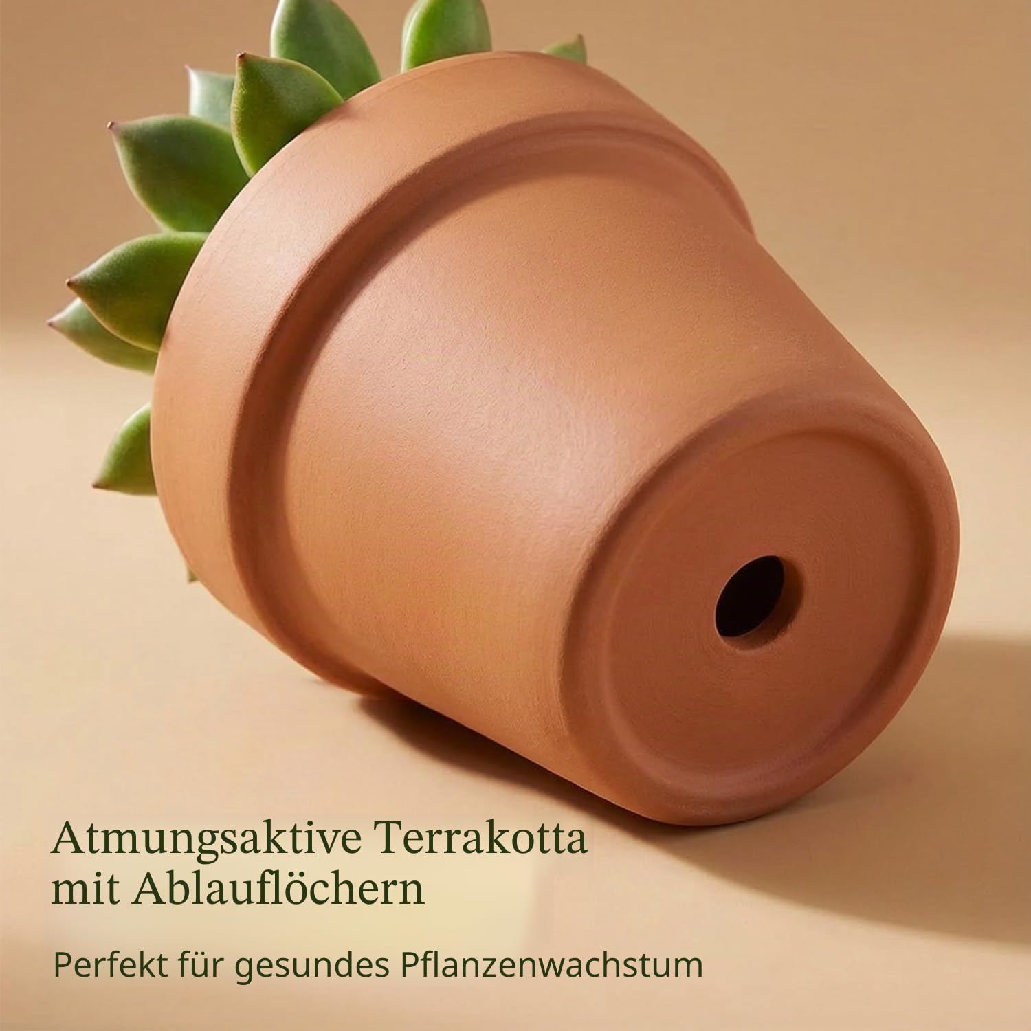 10cm Terrakotta Töpfe mit Untertasse - 6er Pack Tonblumentöpfe mit Drainage, Ideal für Pflanzen, Kunsthandwerk, Hochzeitsbevorzugung