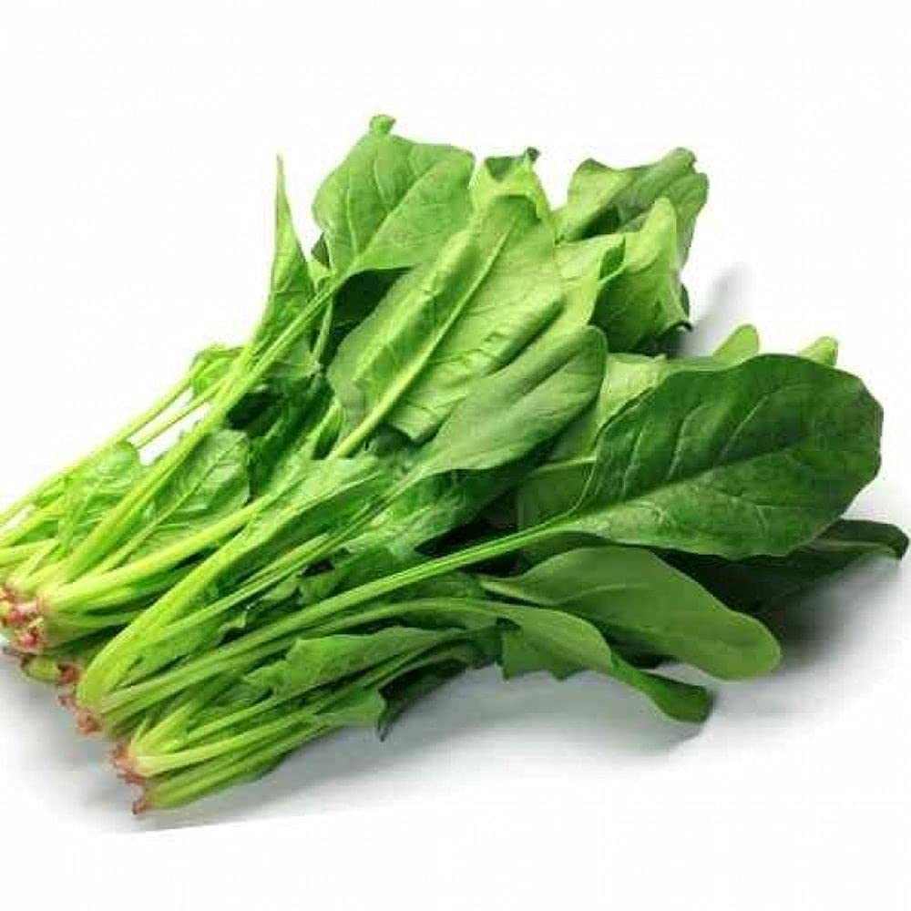 PLANTOGALLERY Palak (Spinach) F1 hybrid seeds|| Vegetable Seeds ||100% Organic Seeds PKT.||Seeds for home and garden (B09B2M85RG) Amazon Price History, Amazon Price Tracker