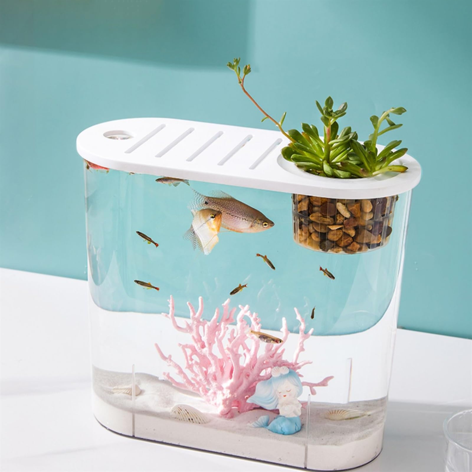 Acuario Pecera Pequeña Micro Paisaje Transparente Pecera Grande Ecológica Hogar con Tapa Escritorio Ovalada se Pueden Plantar Plantas Acuáticas Peces Acuario(Grande)