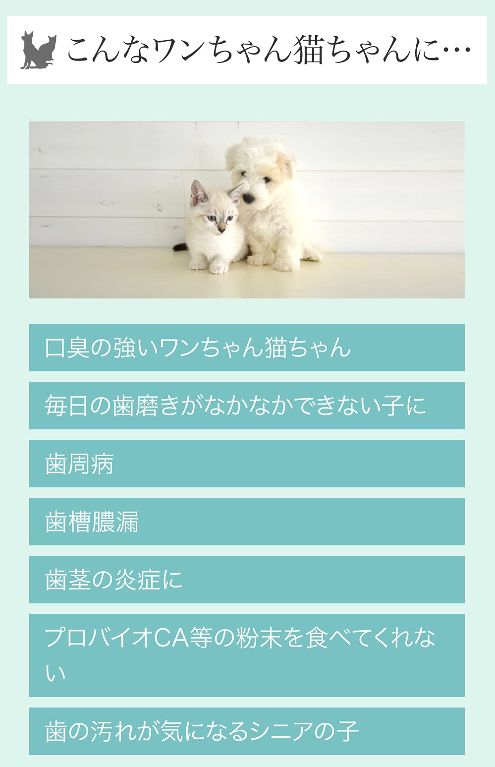 Amazon.co.jp: 犬猫の歯みがき、口臭対策に 歯石、歯周病、歯槽膿漏に