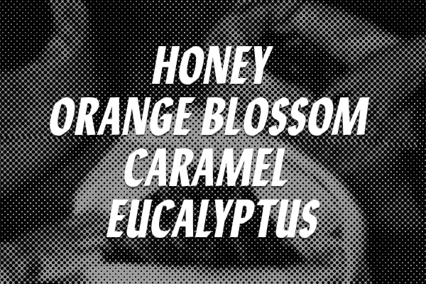 Miniatura 6 de Honey House Blend - Café 100% colombiano en grano entero, 12 onzas