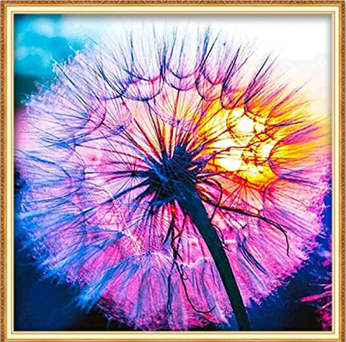 Peinture au diamant 5D pissenlit coloré strass 30x40 cm
