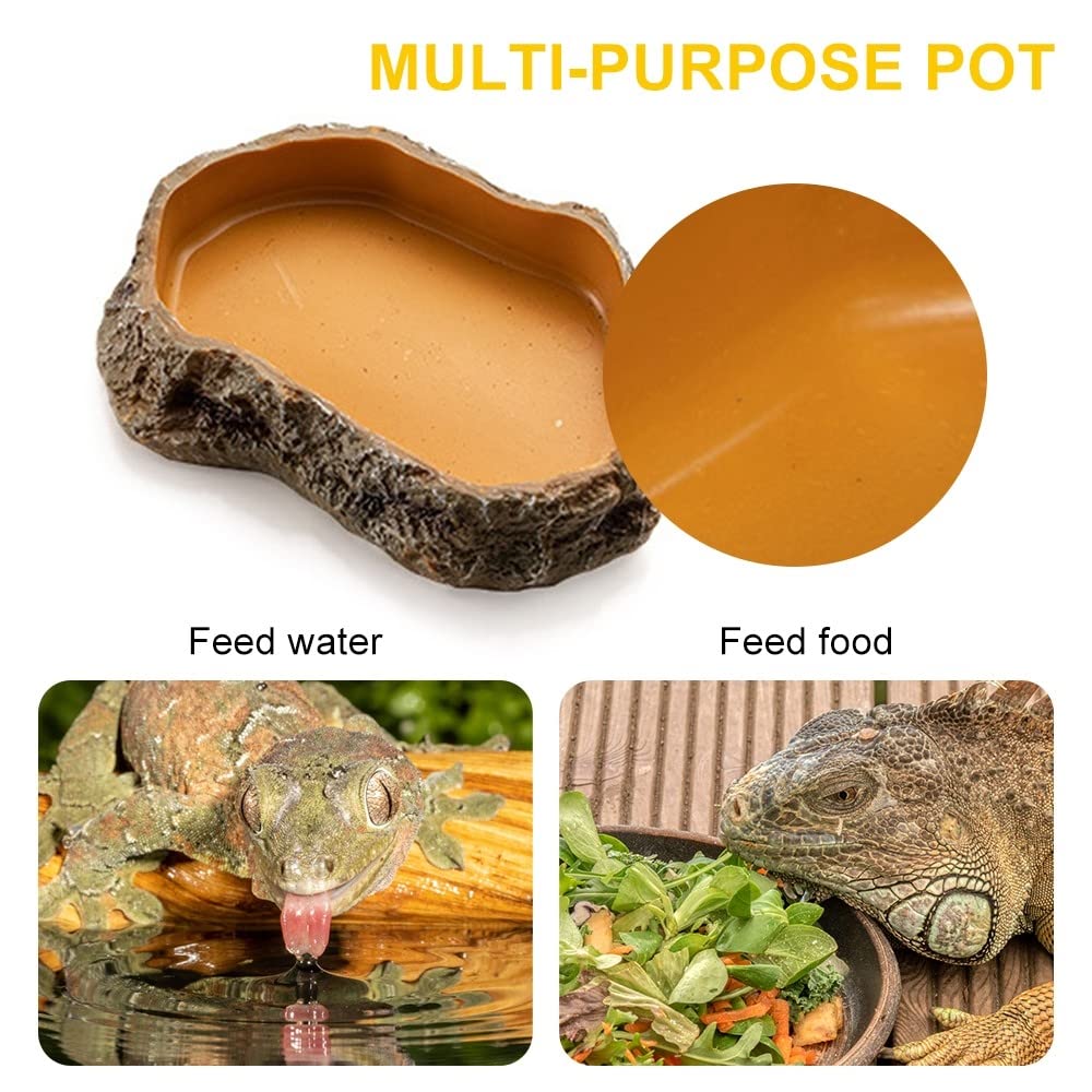 SLSON Reptilien-Futternäpfe - 100 Praktische Einwegschalen Für Futter Und Wasser