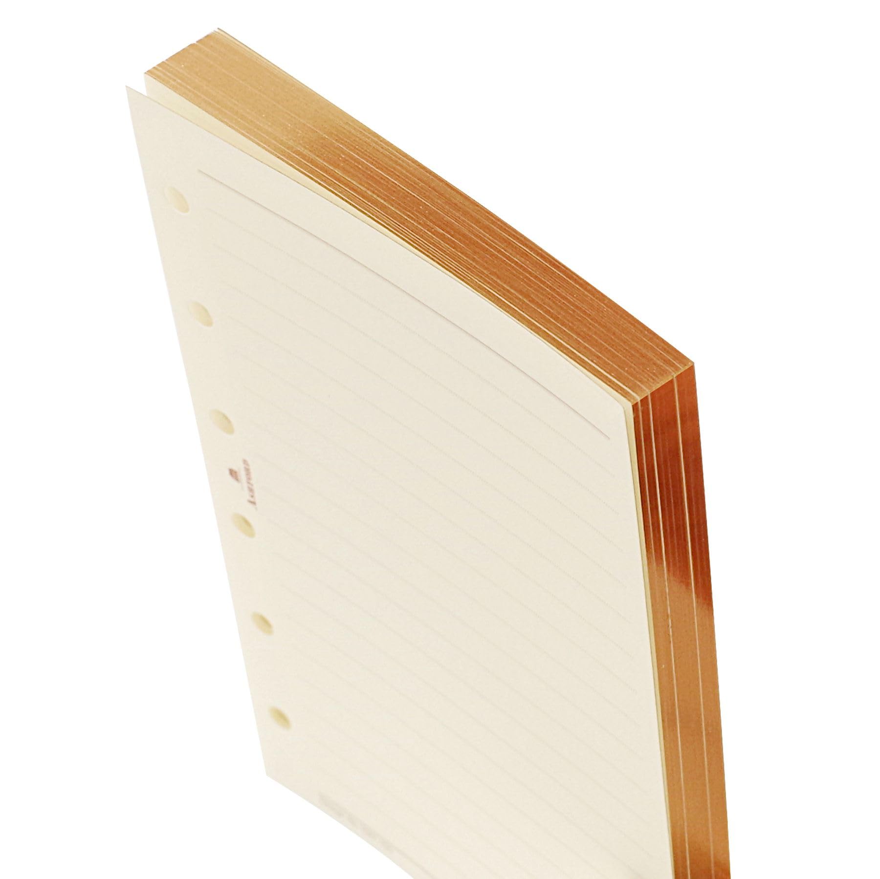 Amazon.co.jp: Ashford(アシュフォード) ミニ6サイズ 6mm罫線リーフ