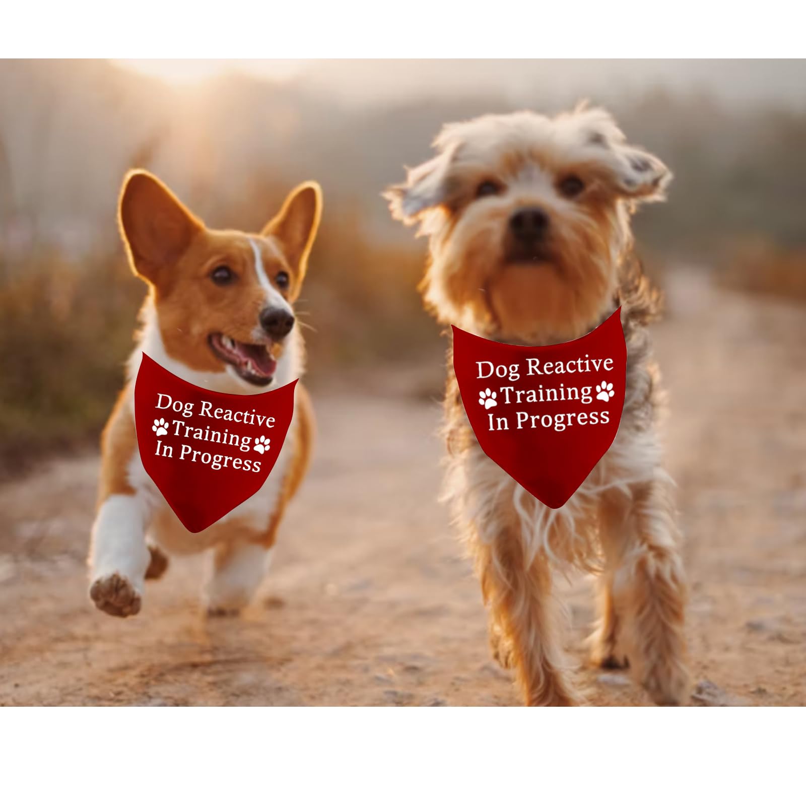 1 Piece Dog Reactive Training In Progress/Dog Reactive Bandana Pet Lover Gift (Training In Progress D) - Image 4