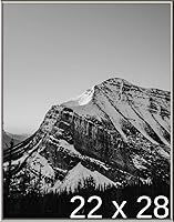 Vista 298 de Frame It Easy Marco de metal rojo de 24 x 36 pulgadas (Hanover)