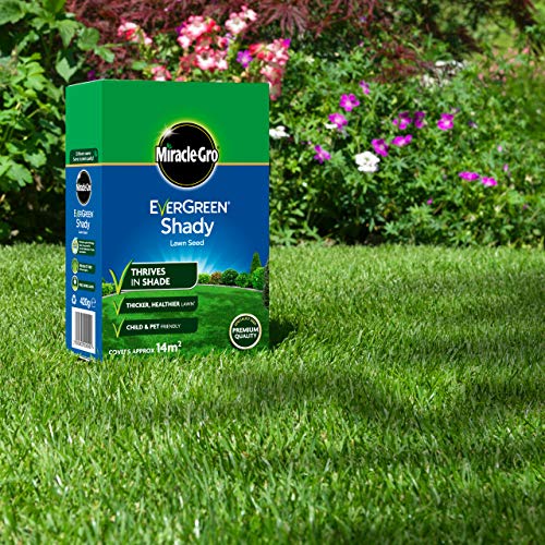 Miracle-Gro Evergreen Complete 4-in-1 Lawn Food - 200 m2, Lawn Food, Weed & Moss Control, Yellow & EverGreen Shady Lawn Seed 420 g - 14 m2