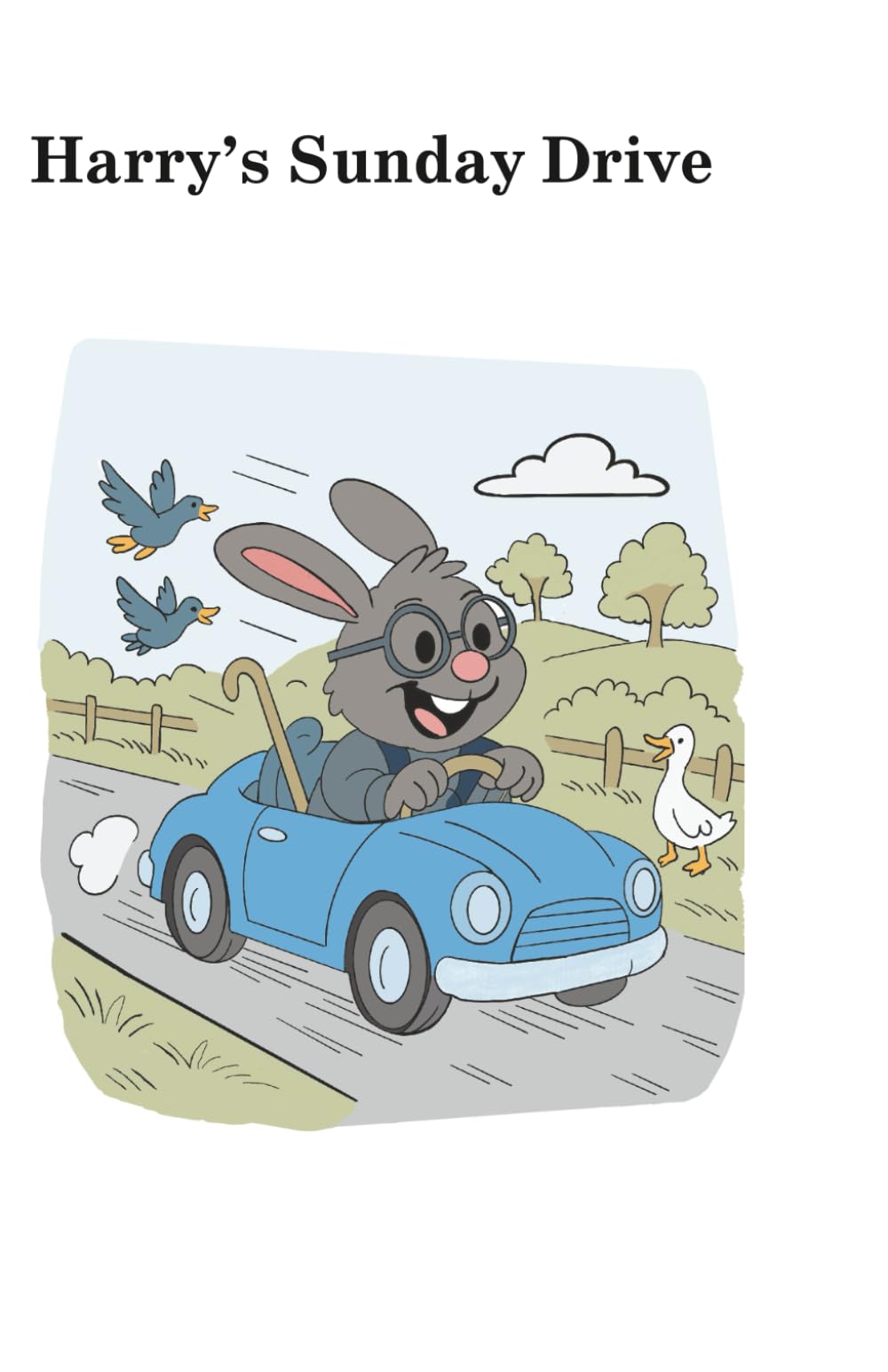 Harry's Sunday Drive