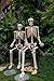 Crazy Bonez Pose-N-Stay Halloween Skeleton, 6 FT – Life-Size, Realistic, Fully Poseable Indoor & Outdoor Decoration, Durable Weather-Resistant Spooky Prop for Yard, Porch, Haunted House