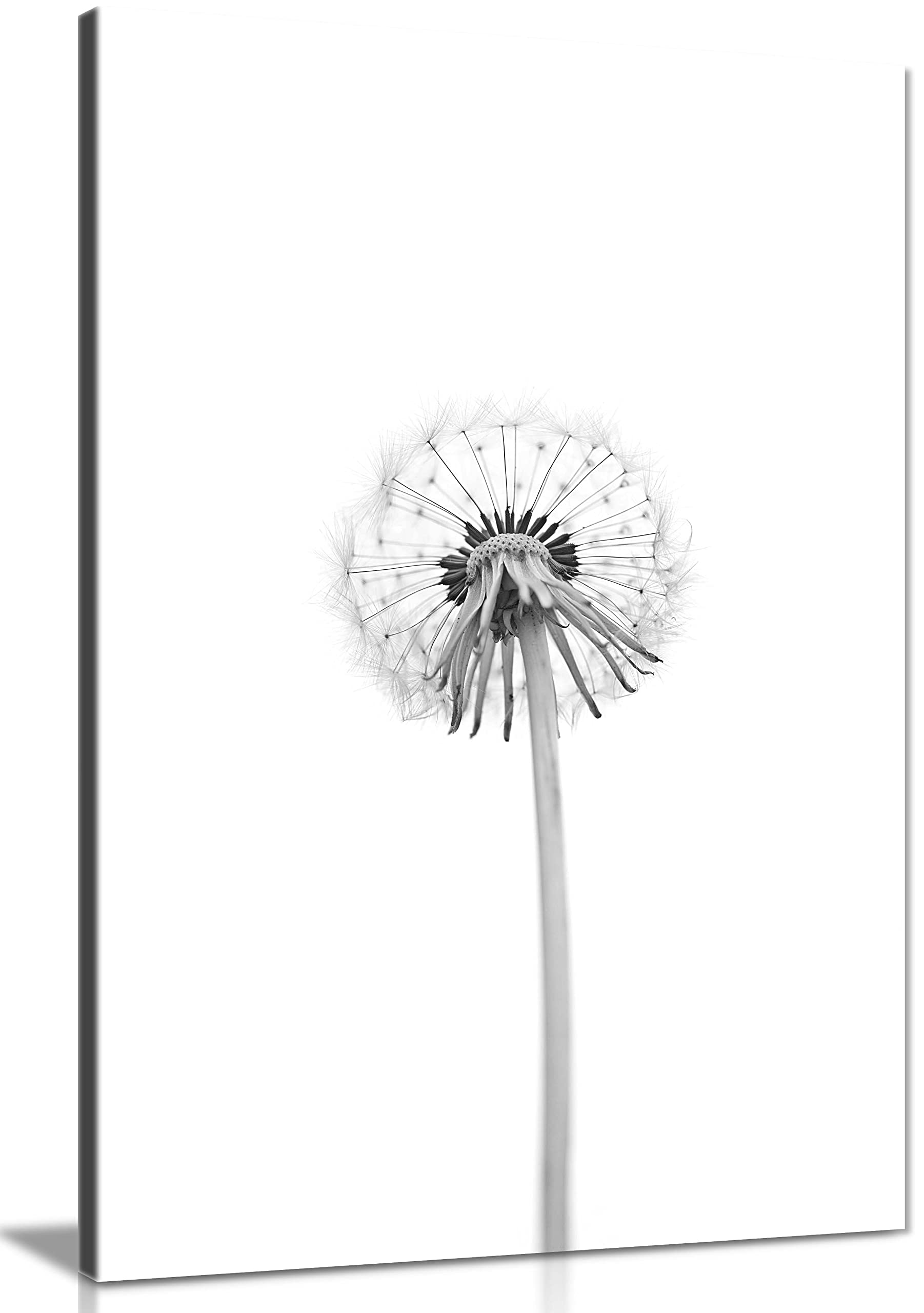 Bright White Dandelion Backside Artistic - Wrapped Canvas Art Prints