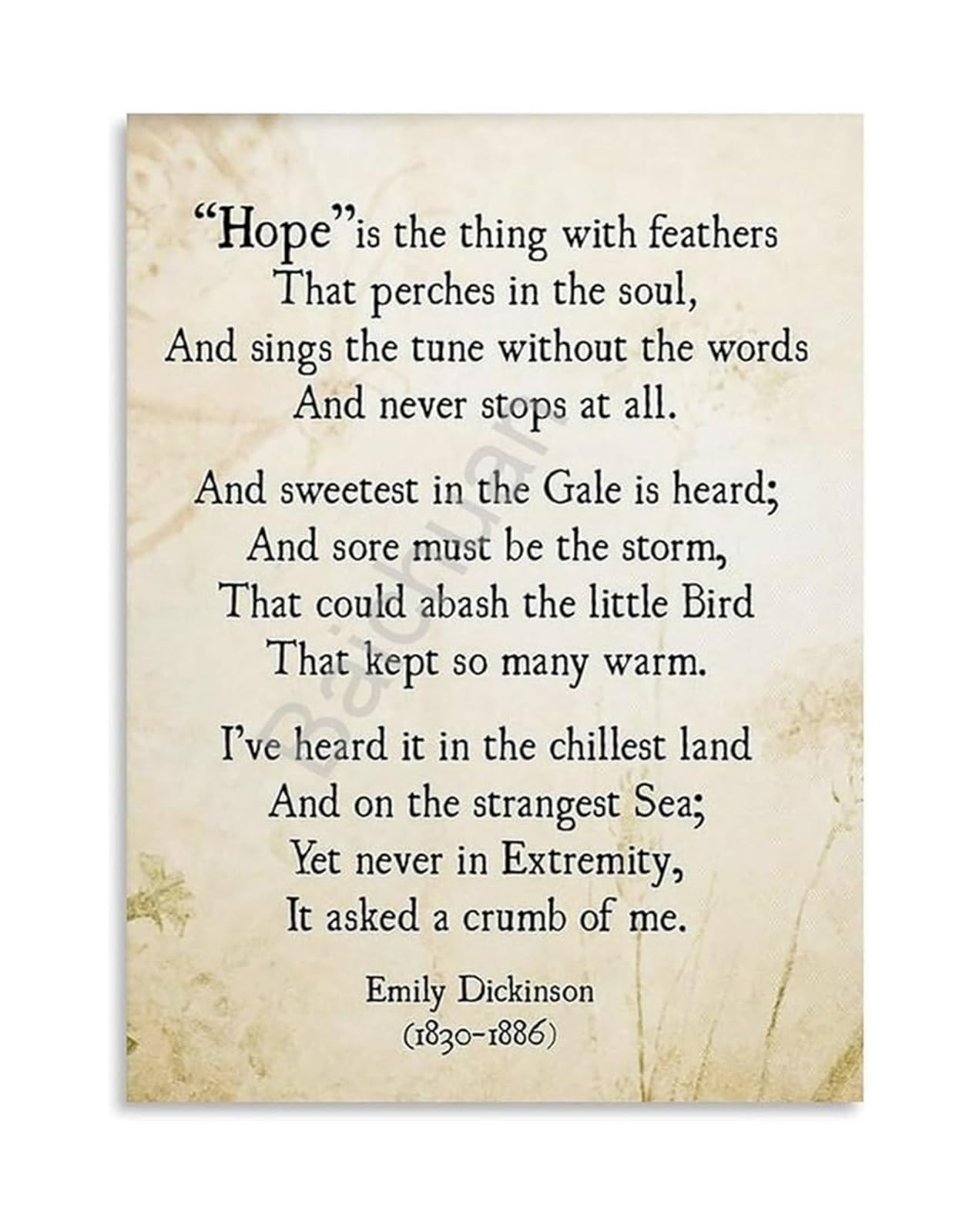 SSOPTMCB Emily Dickinson Hope Poem Art Hope Is The Thing With Feathers Quote Poster Wall-Art For Readers Home Decor(Framed,12x18inch(30x45cm))