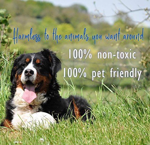 image for Predator Pee 100% Wolf Urine - Territorial Marking Scent - Creates Ill